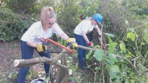 Disney UK gets ‘stuck in’ at the Wildfowl and Wetlands Trust - sawing